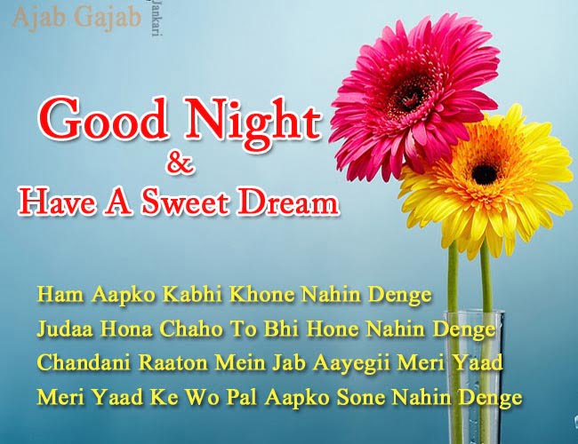 Good-night-wishes-in-hindi
