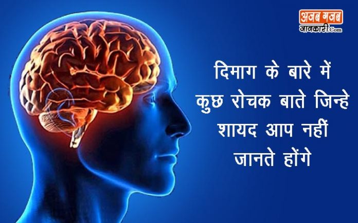 Amazing-Facts-About-the-Brain-in-hindi