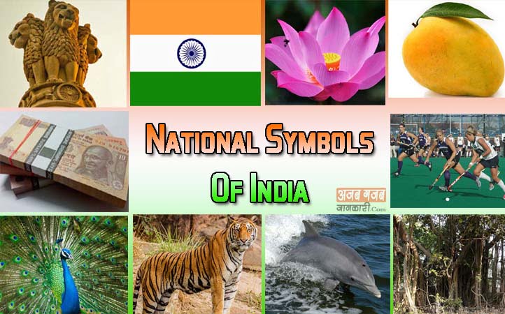 National Symbols Of India