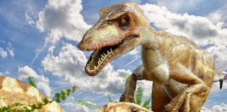 dinosaur facts for kids