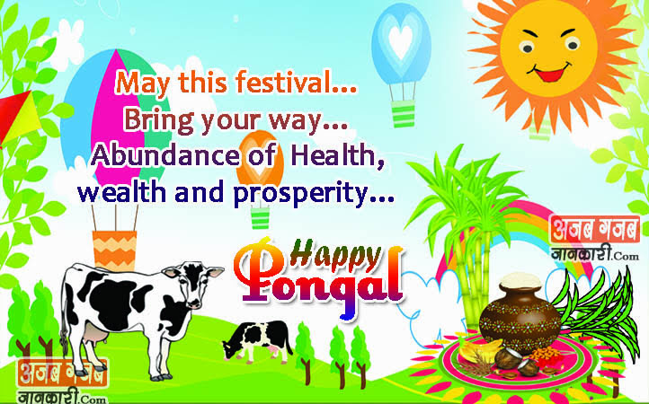 happy pongal 2018