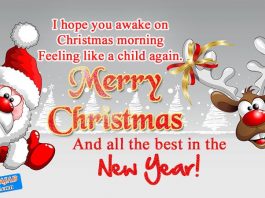 merry-christmas-greetings-message