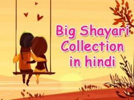 Shayari Collection in hindi
