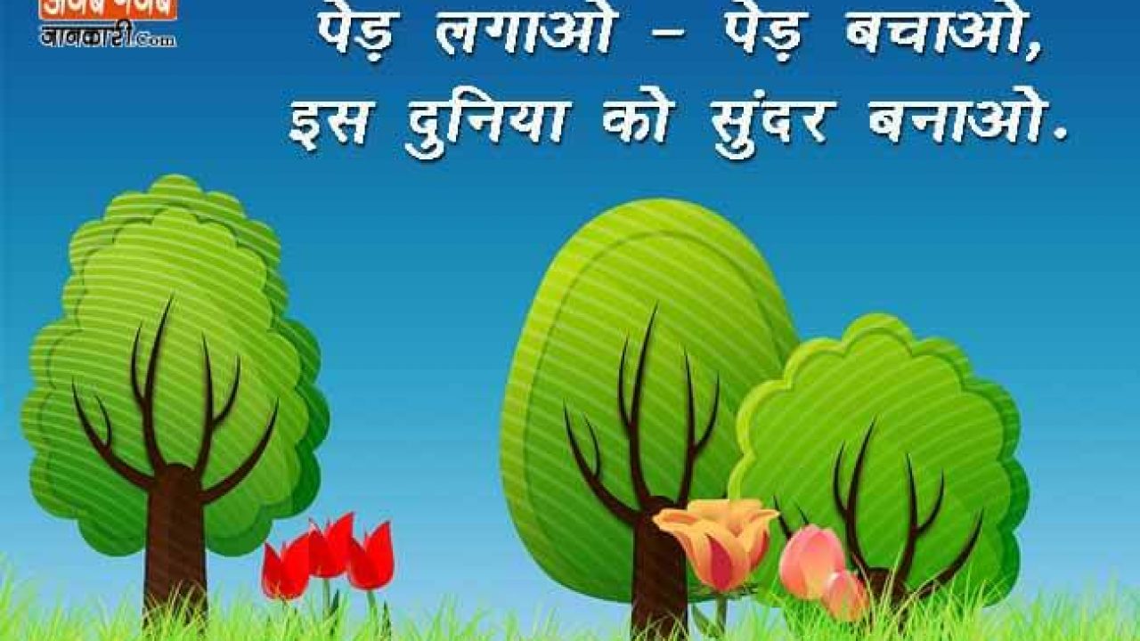 Slogan On Earth In Hindi The Earth Images