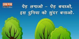 slogan-on-save-trees-in-hindi