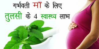 Benefits of Tulsi Leaves Basil during Pregnancy in Hindi