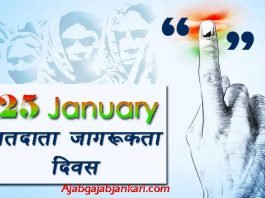 National Voters Day in Hindi
