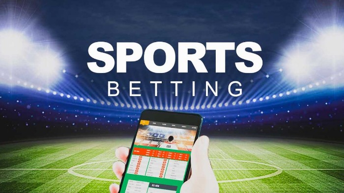 10 Best Oline Cricket Betting Apps for Android and iOS in India