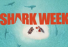 Who Is Shark Week 2022’S Jeff Kurr? Director And Producer Of The Present’s Biography