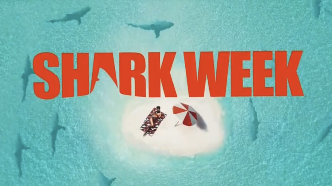 Who Is Shark Week 2022’S Jeff Kurr? Director And Producer Of The Present’s Biography