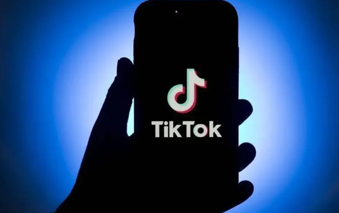 Where To Find The Tiktok Trending Capcut Template? New Trend 2022 And Wrap Me In Plastic Challenge Explained
