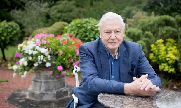 David Attenborough Is Lifeless Or Nonetheless Alive? What Occurred?