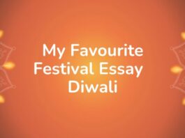 My Favourite Festival Essay